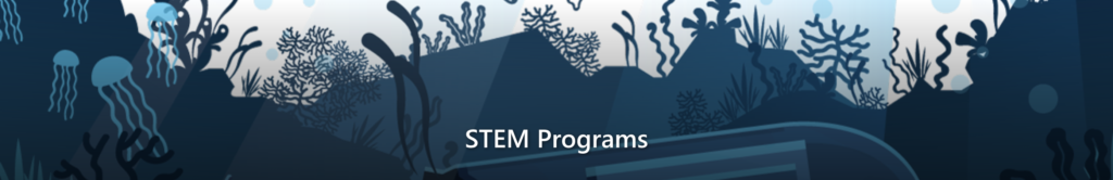 STEM Programme stembanner