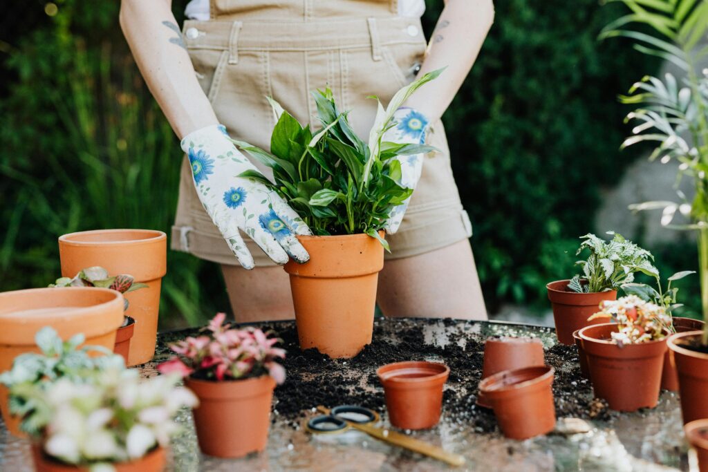 IEEE Young Engineers Conference Person planting in clay pots on a sunny day with scattered soil and gardening gloves.