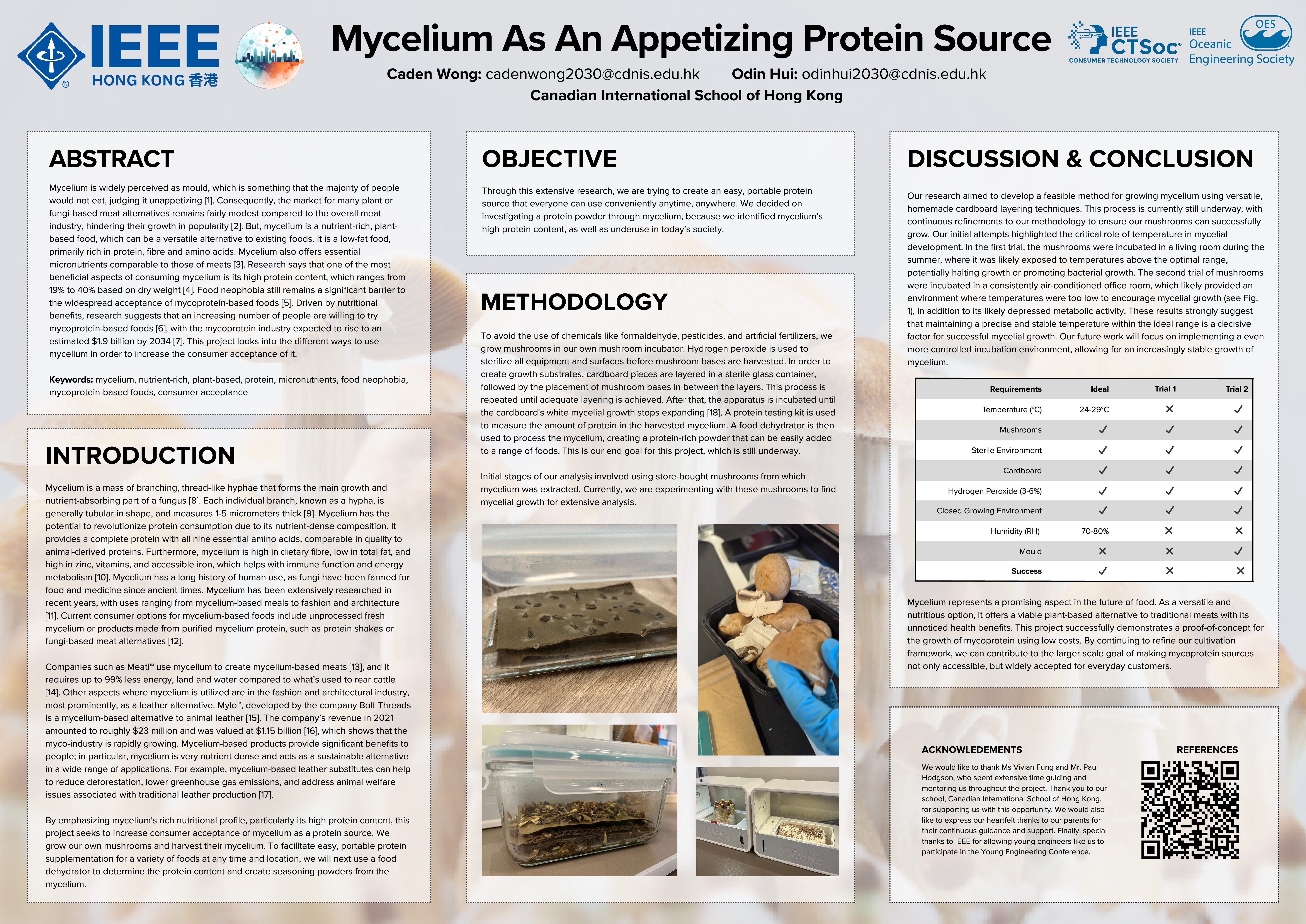 Mycelium 1 Pdf